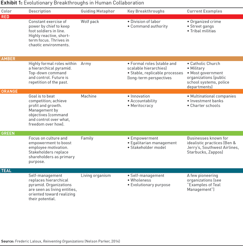 Patagonia Organizational Chart