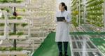 A scientist stands among vertical columns of vegetables growing in a greenhouse. She faces to the viewer's left to inspect the vegetables and holds a clipboard to record her observations.