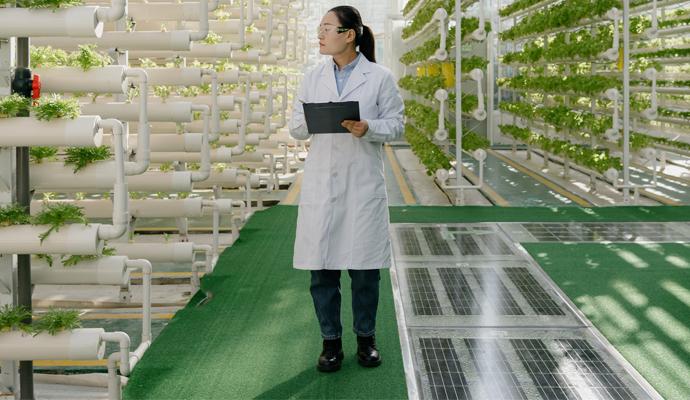 A scientist stands among vertical columns of vegetables growing in a greenhouse. She faces to the viewer's left to inspect the vegetables and holds a clipboard to record her observations.