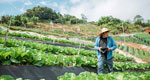 A farmer uses a digital tablet while examining his farm