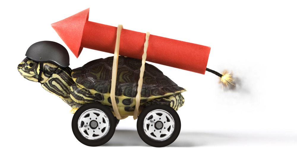 A turtle sits on a wheeled platform with a rocket strapped to its back, waiting for the rocket to ignite.