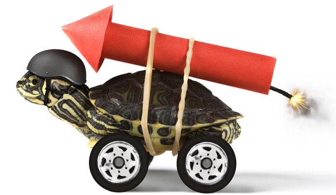 A turtle sits on a wheeled platform with a rocket strapped to its back, waiting for the rocket to ignite.
