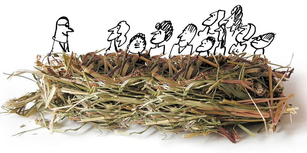 A photo of a bird’s nest with black-and-white drawings of a corporate boss and his team inside it. A photo of a bird’s nest with black-and-white drawings of a corporate boss and his team inside it.