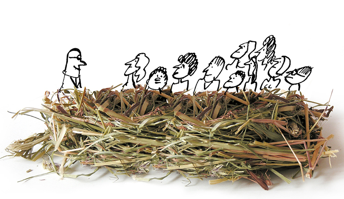 A photo of a bird’s nest with black-and-white drawings of a corporate boss and his team inside it. A photo of a bird’s nest with black-and-white drawings of a corporate boss and his team inside it.