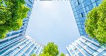 A worm’s-eye view of the courtyard of a modern office building shows a juxtaposition of green trees and glass windows set against a blue sky.