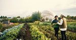 A photograph of a small produce farm.