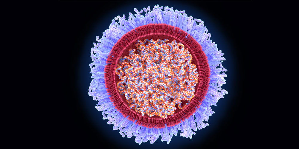 An illustration of an mRNA vaccine molecule. An illustration of an mRNA vaccine molecule.