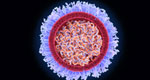 An illustration of an mRNA vaccine molecule.