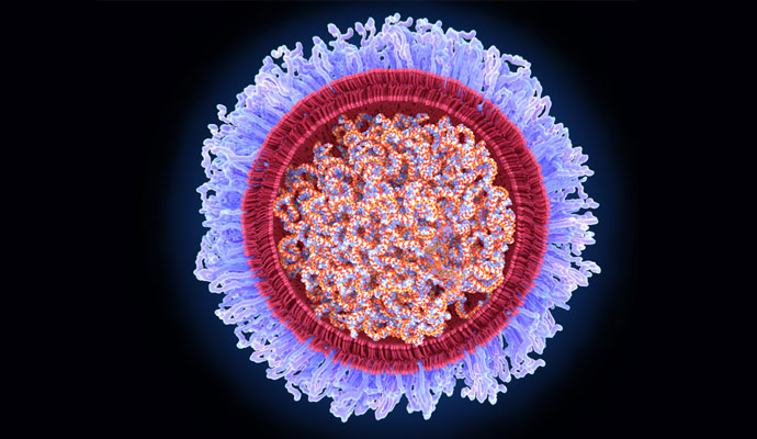 An illustration of an mRNA vaccine molecule.