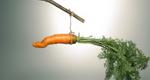 A carrot dangling from a stick