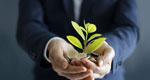 A businessman holds coins in his hands, and a sprout is growing from the coins