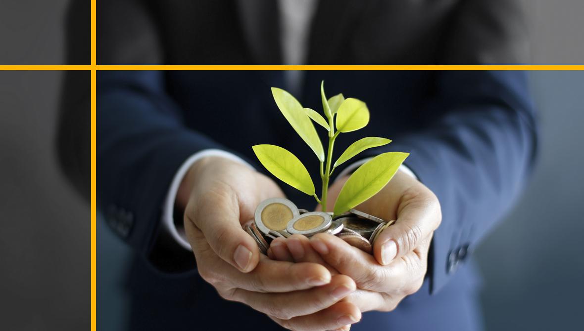 A businessman holds coins in his hands, and a sprout is growing from the coins A businessman holds coins in his hands, and a sprout is growing from the coins