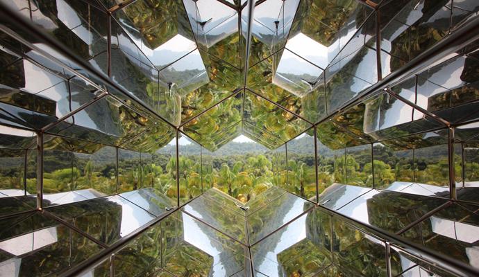 Plants seen through a mirrored kaleidoscope