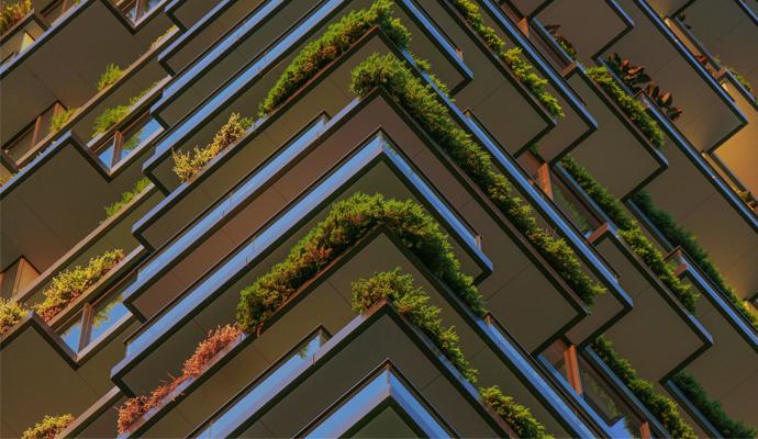 Photograph of plants hanging from the balconies of a high-rise building
