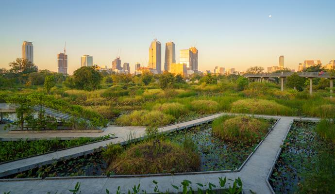 A landscaped urban park, with pathways, ponds, and dense vegetation, sits in the foreground, with a city skyline under construction in the horizon beyond.