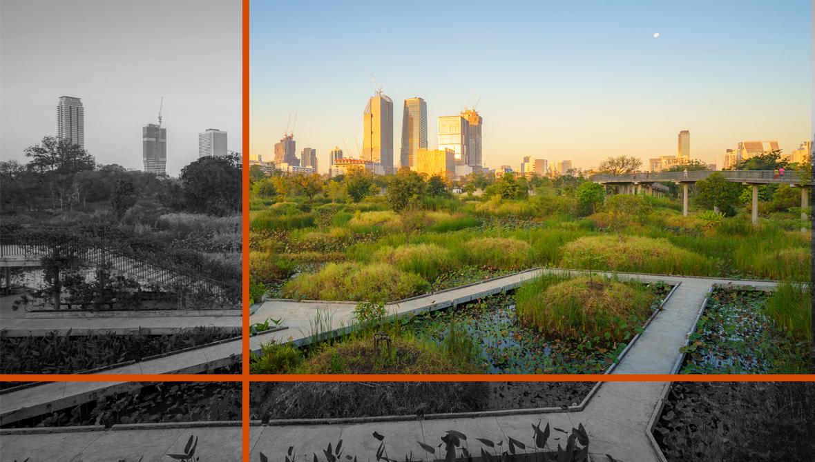 A landscaped urban park, with pathways, ponds, and dense vegetation, sits in the foreground, with a city skyline under construction in the horizon beyond.