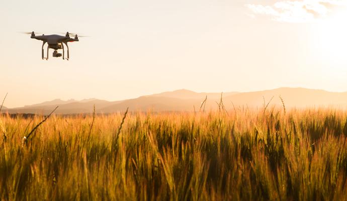 Photograph of a drone flying low over a wheat field Photograph of a drone flying low over a wheat field