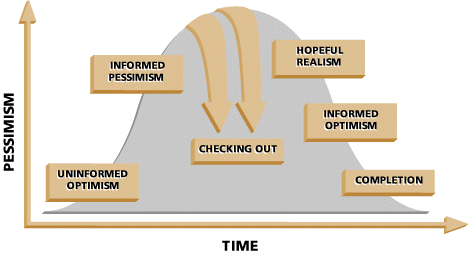 view eukaryotic transcriptional